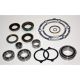 USA Standard Transfer Case NP233 Bearing Kit '01-'07 Dodge