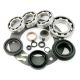 USA Standard Transfer Case BW4406 Bearing Kit