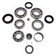 USA Standard Transfer Case BW4446 & BW4447 Bolt-on Rear Yoke Bearing Kit