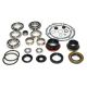 USA Standard Transfer Case MP3010, MP3023 Bearing Kit 2007-2016