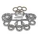 USA Standard Transfer Case Dana 24 1961-1971 Bearing Kit